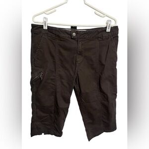 Royal Robbins Outdoor Goddess Brown Capris Sz 12